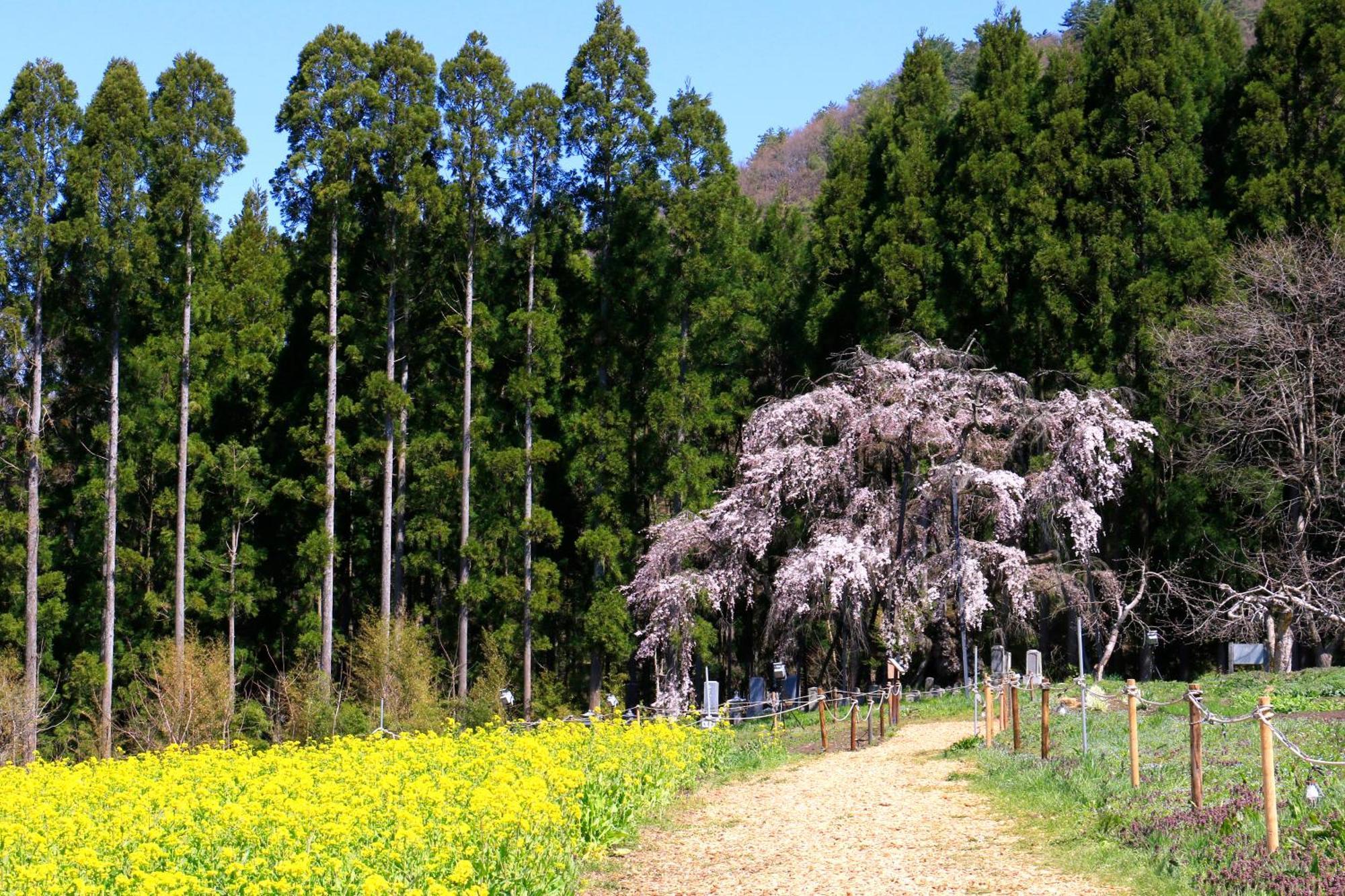 Fujiiso (Adults Only) Ξενοδοχείο Takayama  Εξωτερικό φωτογραφία