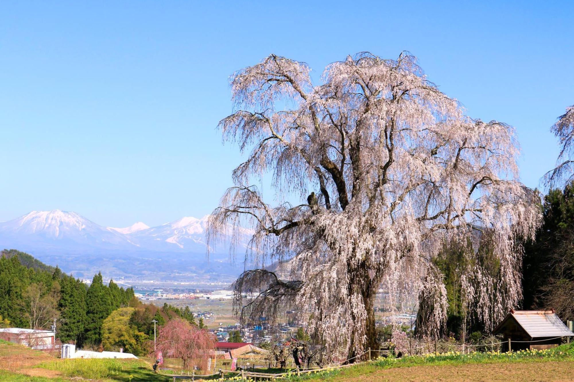 Fujiiso (Adults Only) Ξενοδοχείο Takayama  Εξωτερικό φωτογραφία
