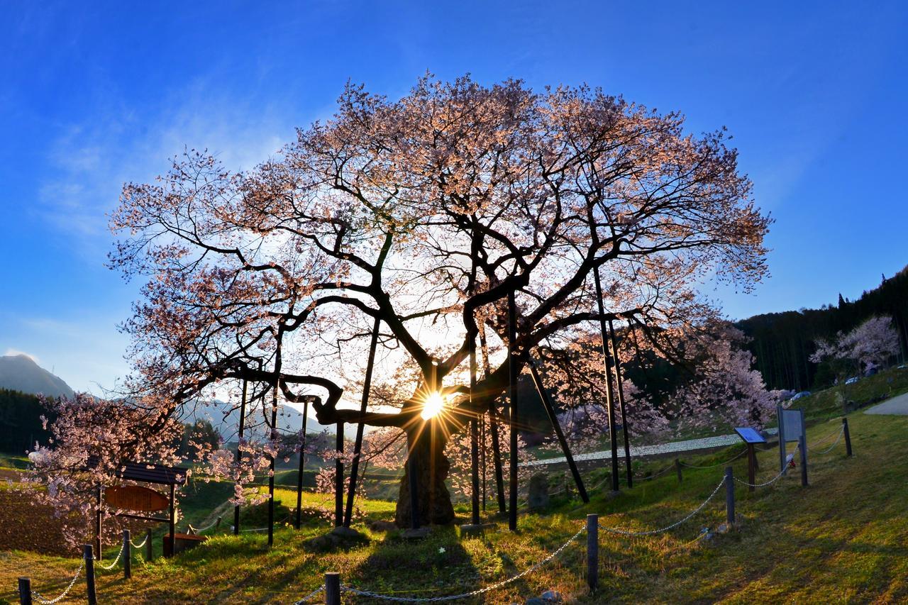 Fujiiso (Adults Only) Ξενοδοχείο Takayama  Εξωτερικό φωτογραφία